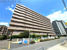 ディオ・フェルティ伊丹昆陽の画像