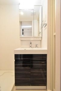 ライジングメゾン新大阪サウスの洗面所