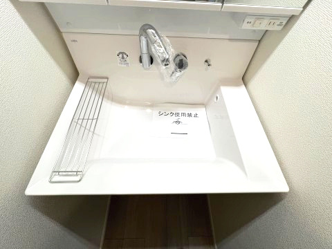 あきる野市野辺　新築戸建全5棟の独立洗面台|暮らしを快適に変えるシャワー付洗面台