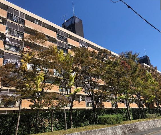 【外観】 | S52064-東大路高野第二住宅　３号棟