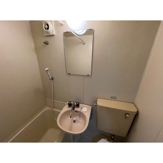 ブラウン第2の洗面所|ゆったりとスペースのある洗面所