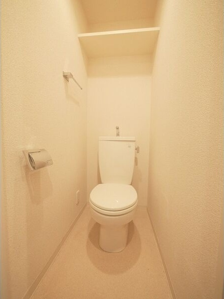 プレサンス覚王山D-StyleⅡのトイレ