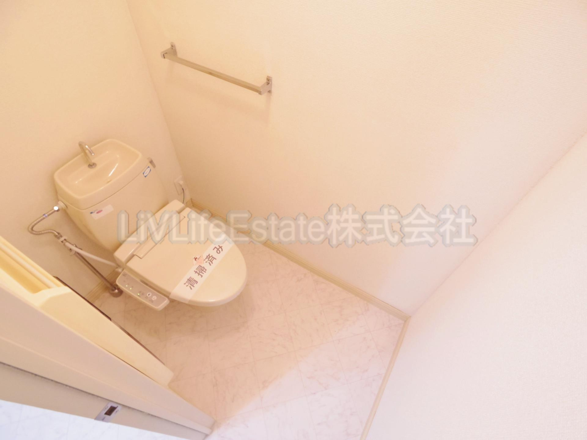 パークサイドディアスⅡのトイレ