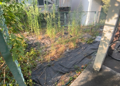 【外観】 | ハイムＡ | 庭のある家に住むことのメリットとして、子どもたちの遊び場を確保できること、ガーデニングや家庭菜園を楽しめること、明るさを確保できることがあります。また、配置を工夫することでプライバシーが確保できます。