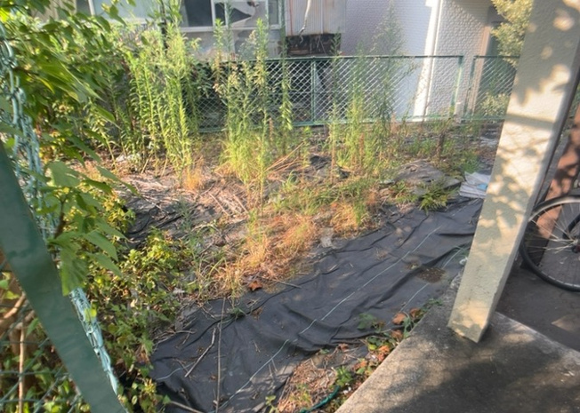 【外観】 | ハイムＡ | 庭のある家に住むことのメリットとして、子どもたちの遊び場を確保できること、ガーデニングや家庭菜園を楽しめること、明るさを確保できることがあります。また、配置を工夫することでプライバシーが確保できます。