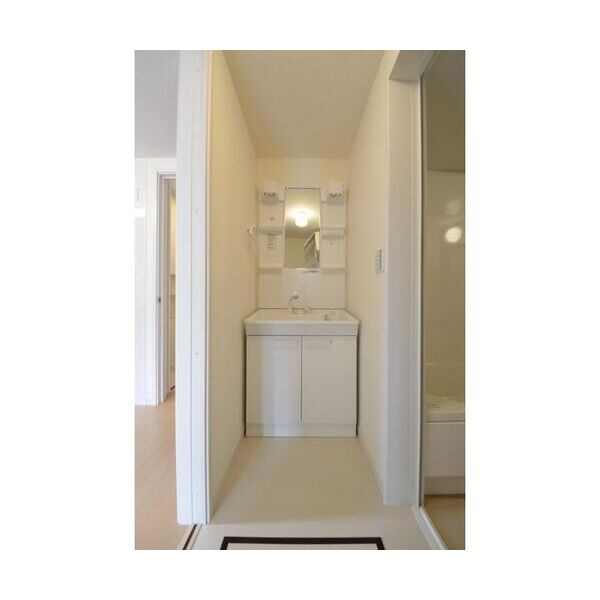 Tsメゾン-Sの洗面所