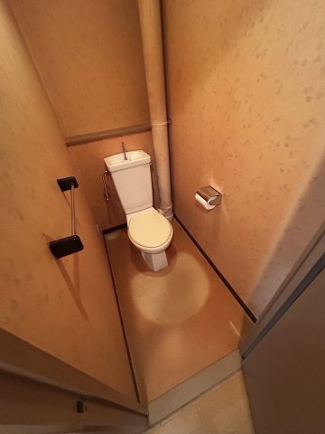 グランドヴィラ三先のトイレ