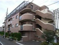 サンバレー・ファイブの画像