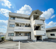 ドリームリュウの画像