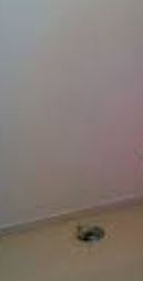 【内装】 | ジョリーメゾン高松 | 室内洗濯機置場（同一仕様写真）