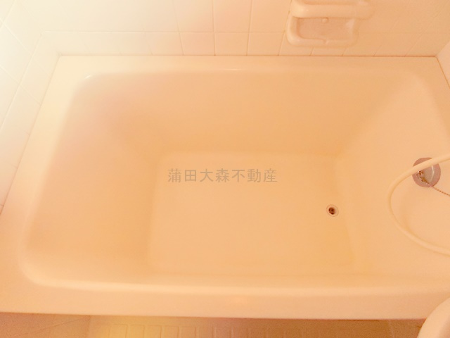 ドルチェ池上の浴室