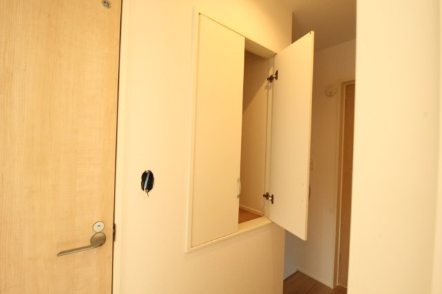 介良乙　新築戸建　2号棟（全4区画）【内覧可能】の収納|2Ｆ　ホール