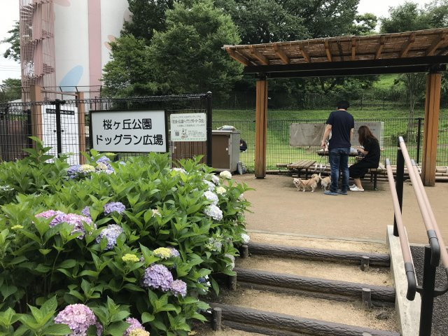 コートビレッジ桜ヶ丘PartⅡレジデンスのその他|近隣ドッグラン有り【コートビレッジ桜ヶ丘PartIIレジデンス】