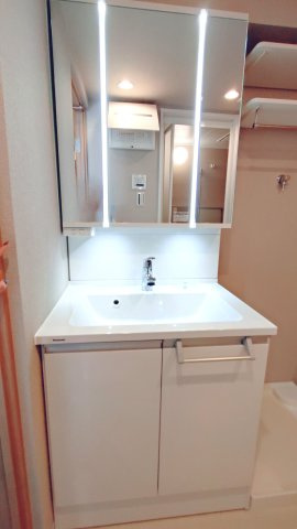 ハイム鴻池の独立洗面台