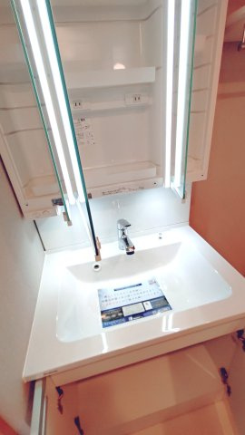 ハイム鴻池の独立洗面台