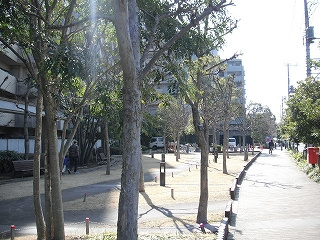 コスモ21ザ・ガーデンズフォートの外観