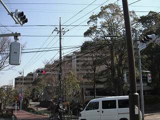 コスモ21ザ・ガーデンズフォートの外観