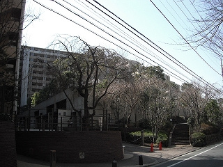 コスモ21ザ・ガーデンズフォートの外観