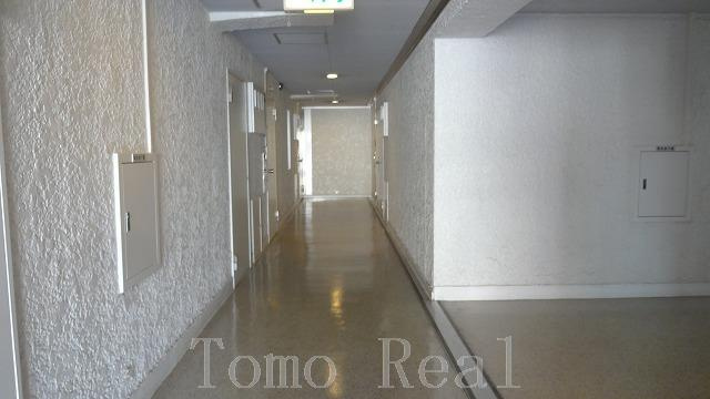 ハイツ赤坂のその他共用部分|共用廊下