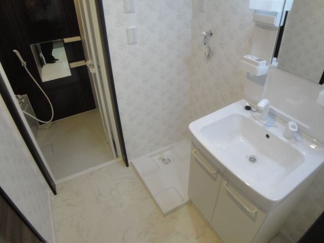 グランツ別府の洗面所