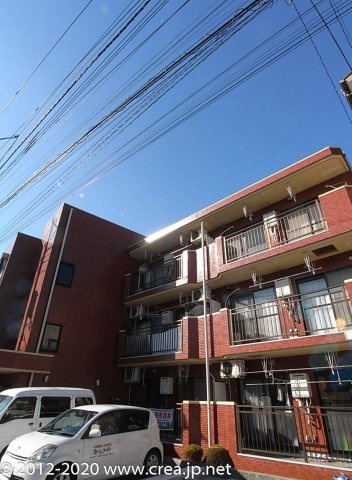 エクセルドシオノ