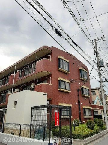 エクセルドシオノのその他