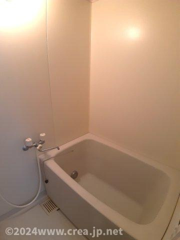 エクセルドシオノの浴室