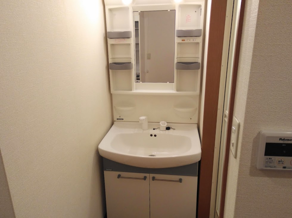 ポエム・ガーデン新田辺の洗面所