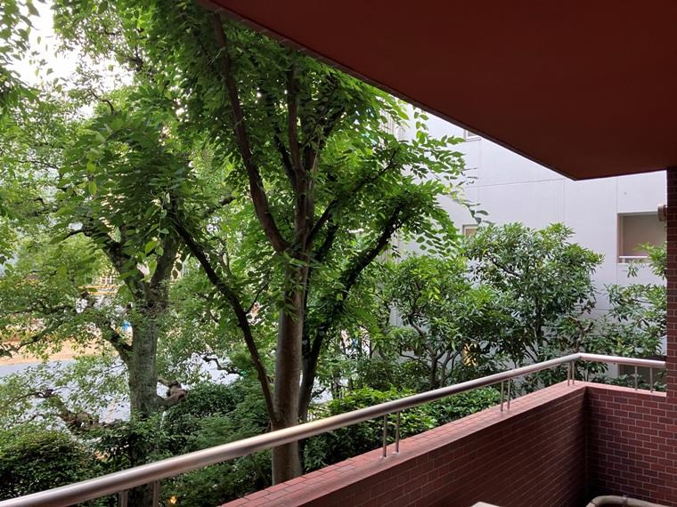 渋谷美竹ハイムの展望