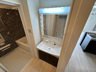 レジデンススクエアⅢの洗面所|シャンプードレッサー（イメージ）