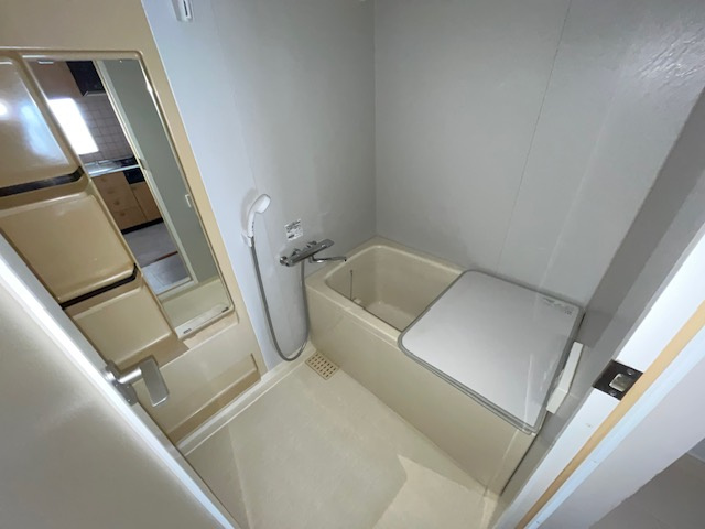 グレーシィ金剛アルティプラザの浴室