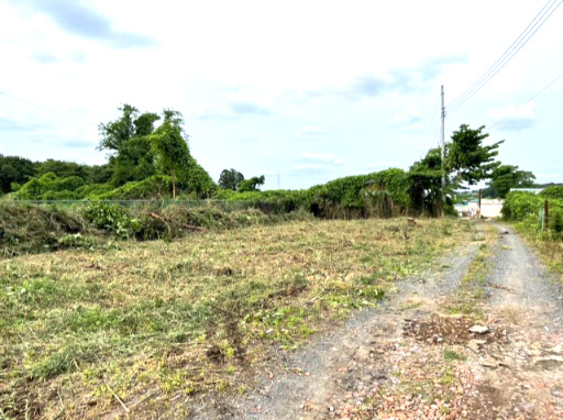 下大沼　土地の外観
