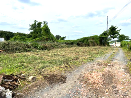 下大沼　土地の外観