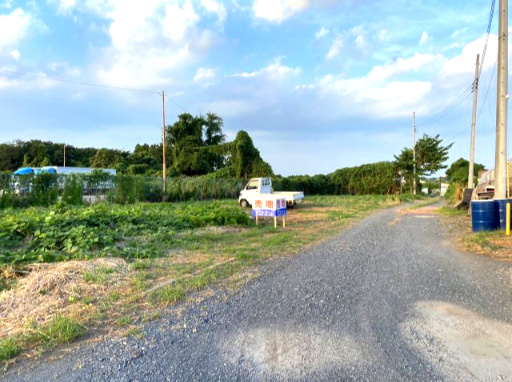 下大沼　土地の外観