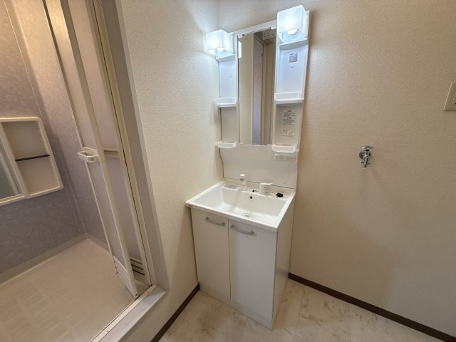 ディアス柿の木 A棟の洗面所