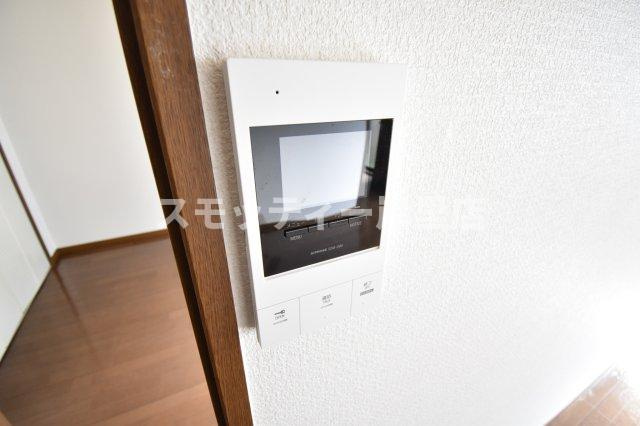 マンシオン・タイラのセキュリティ