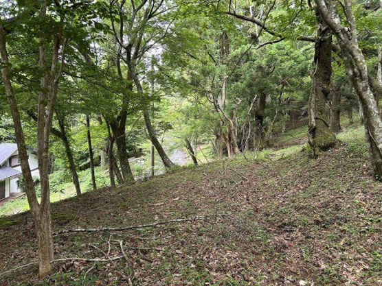 【周辺】 | 東急天城高原別荘地　売地