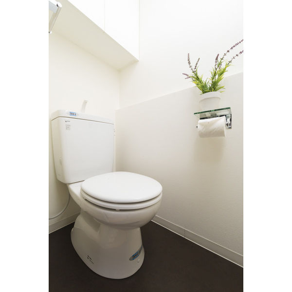 N.S.ZEAL 大曽根　名古屋市賃貸　仲介手数料無料のトイレ