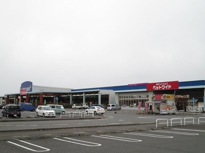 【周辺】 | ファミーユⅡ | ホームワイドまで1000m