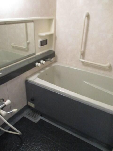 ダイアパレスグランデージ日本橋の浴室