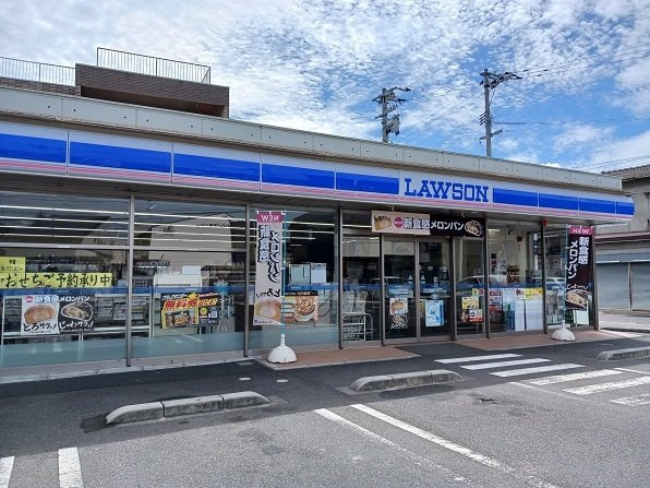 トゥルーハートⅠの周辺|ローソンさんまで190m