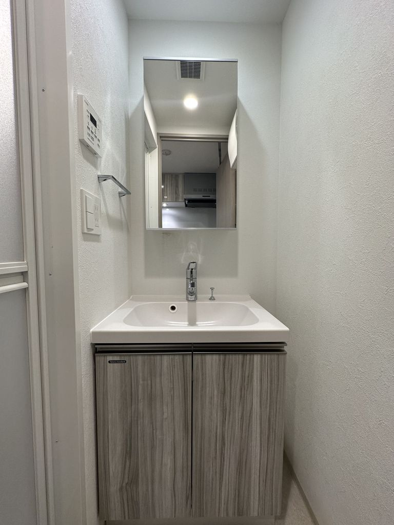 ＴＨＥ ＰＡＳＥＯ新小岩Ⅱの洗面所