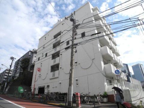 ヴェラハイツ新宿の外観