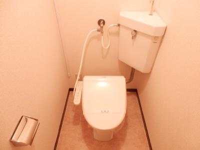 ロイヤルコーポのトイレ