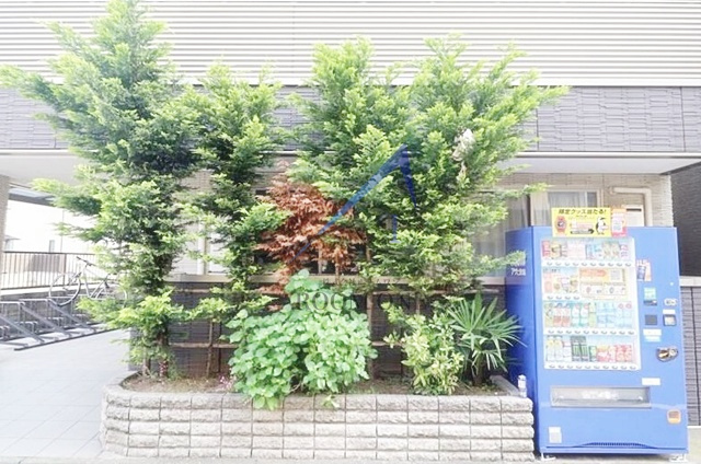 Ｐｏｄ　ｃｒｅｓｔ　Ｉ