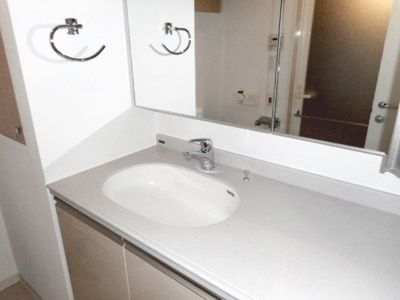 【洗面所】 | ニューシティアパートメンツ戸越 | 別部屋参考写真
