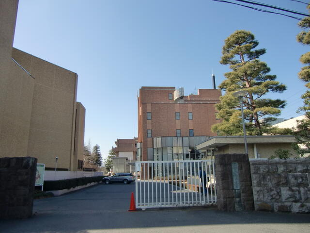 私立白百合女子大学まで385m