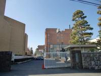 私立白百合女子大学まで385m