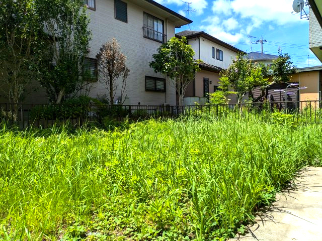 【庭】 | 大網白里市みずほ台１丁目　中古戸建