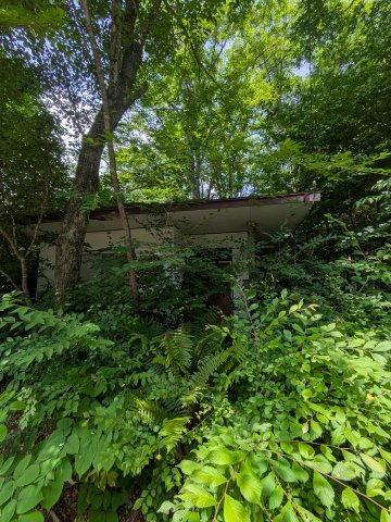 群馬県吾妻郡嬬恋村大字鎌原大カイシコ 中古戸建の外観|外はこのようになっています